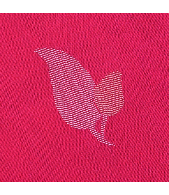 Picture of Coimbatore  Kora Cotton Saree 6.20 Mts