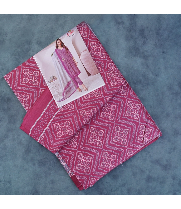 Picture of Pl Printed Chudidhar